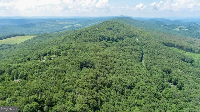 a view of a green field with lots of bushes
