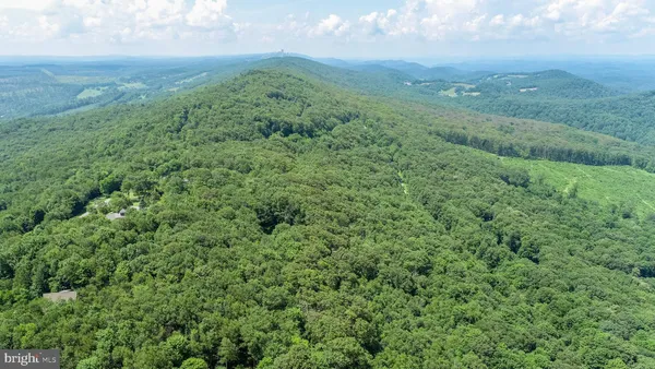 a view of a big yard with large trees