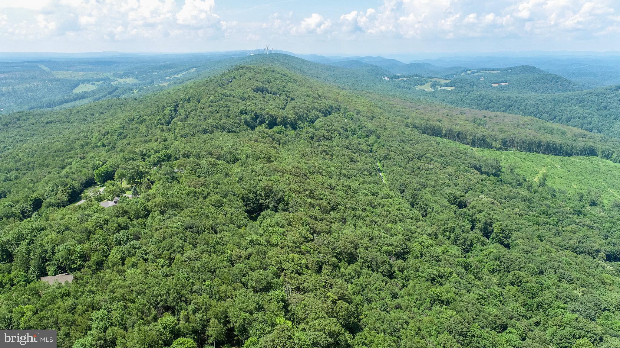 Lot 6 Hoye Crest Road Oakland, MD 21550 - Photo 15 of 18 a view of a green field with lots of bushes