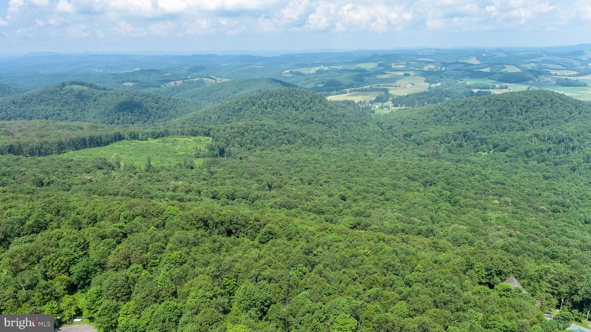 Lot 6 Hoye Crest Road Oakland, MD 21550 - Photo 17 of 18 a view of a big yard with large trees