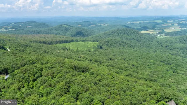 a view of a field of grass and trees