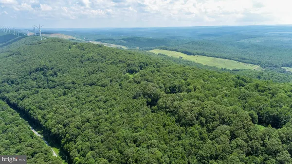 a view of a field of grass and trees