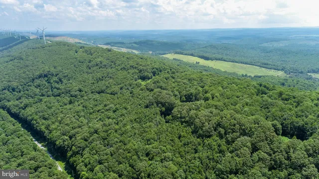 a view of a field of grass and trees