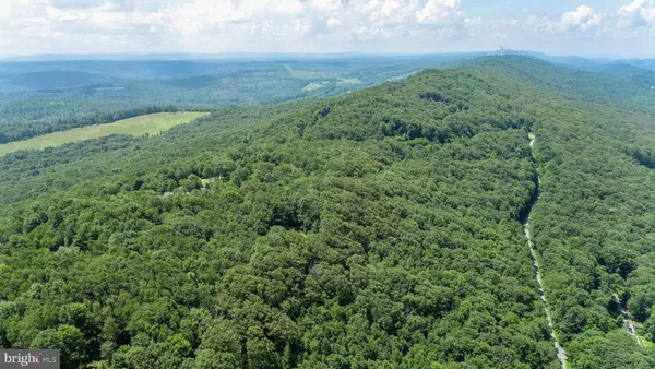 a view of a lush green forest with a houses