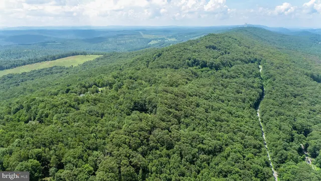 a view of a lush green forest with a houses