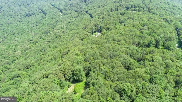 a view of a big yard with lots of green space and deers