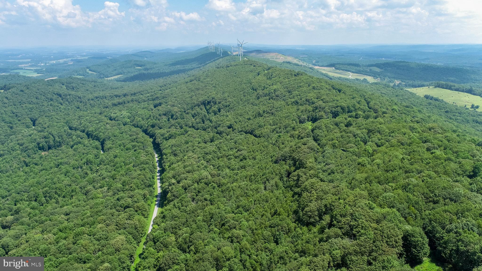 Lot 6 Hoye Crest Road Oakland, MD 21550 - Photo 8 of 18 a view of a big yard with lots of green space and deers