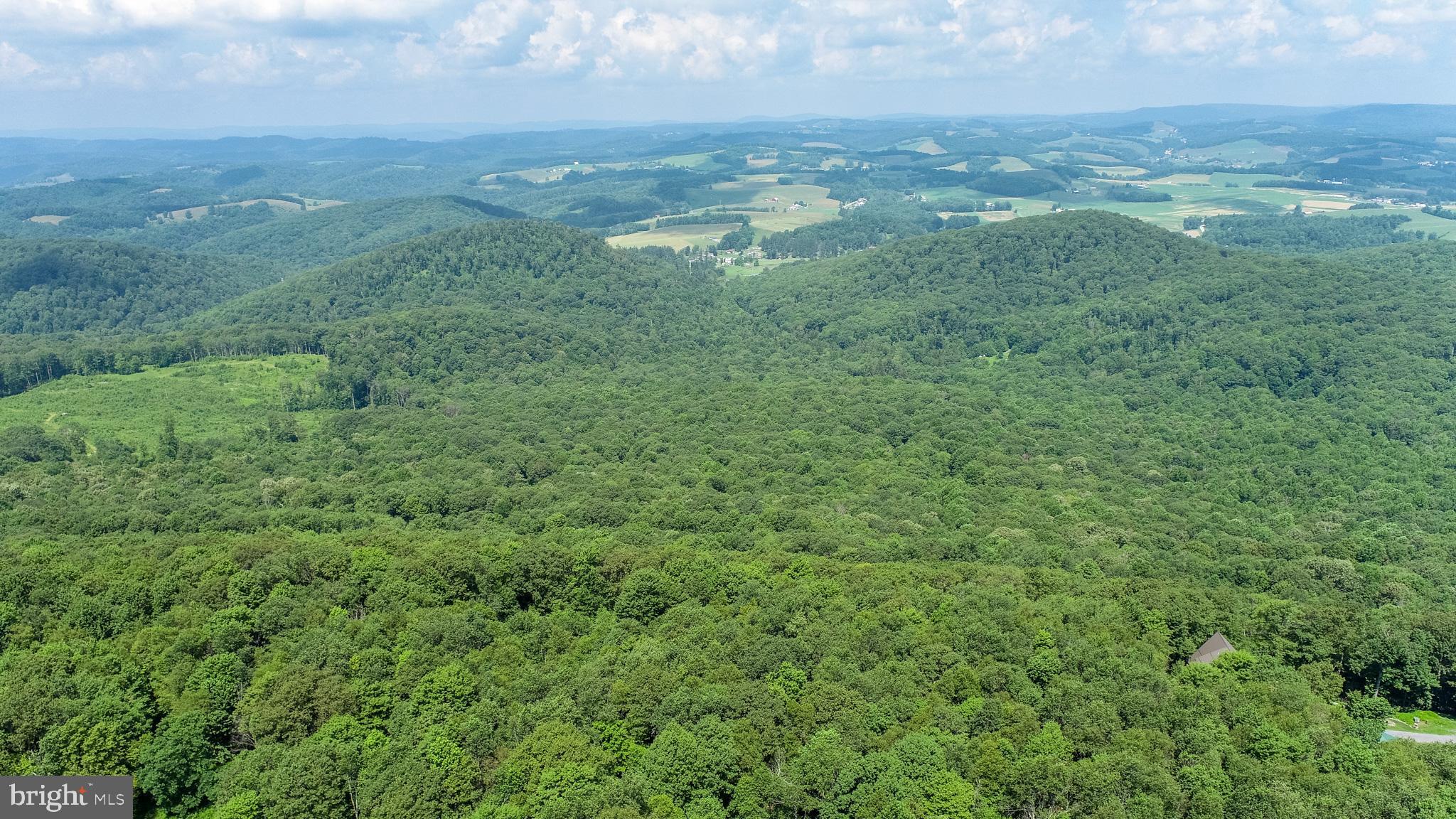 Lot 6 Hoye Crest Road Oakland, MD 21550 - Photo 10 of 18 a view of a big yard with large trees