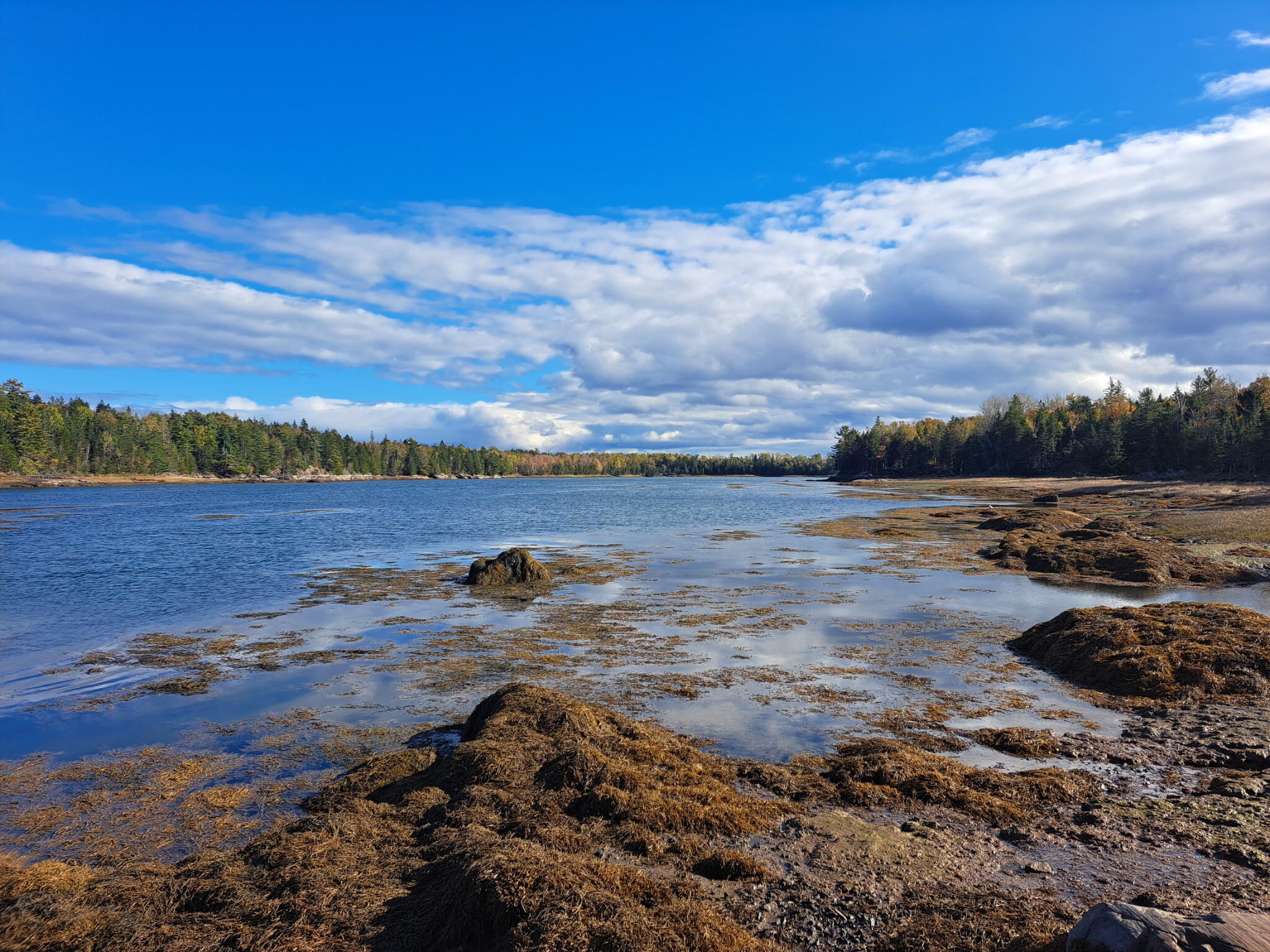 185 Coffins Neck Road Lubec, ME 04652 - Photo 9 of 14