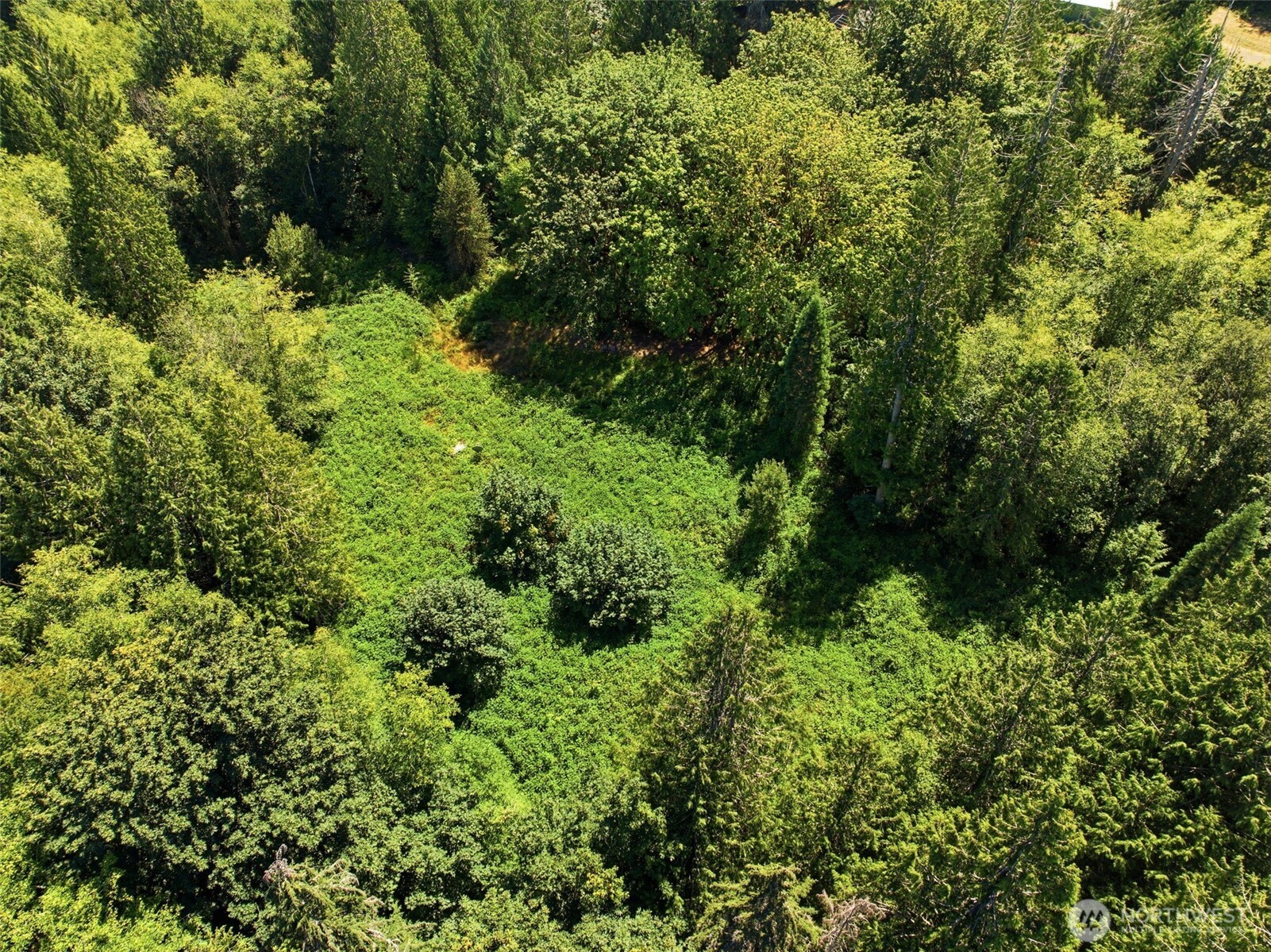 3009 Whiteman Road Southwest Lakebay, WA 98349 - Photo 19 of 19 Gallery Image 19