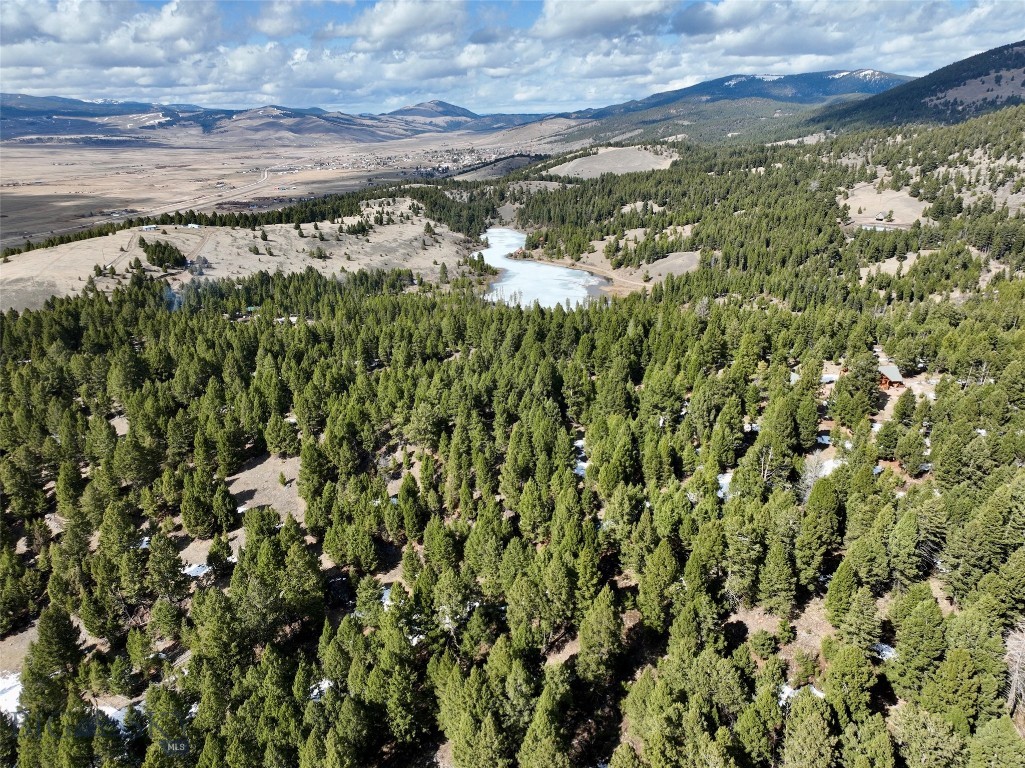 6 A Timber Ridge Trail Philipsburg, MT 59858 - Photo 1 of 1 Gallery Image 1