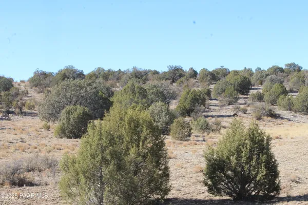 a view of a large yard with lots of bushes