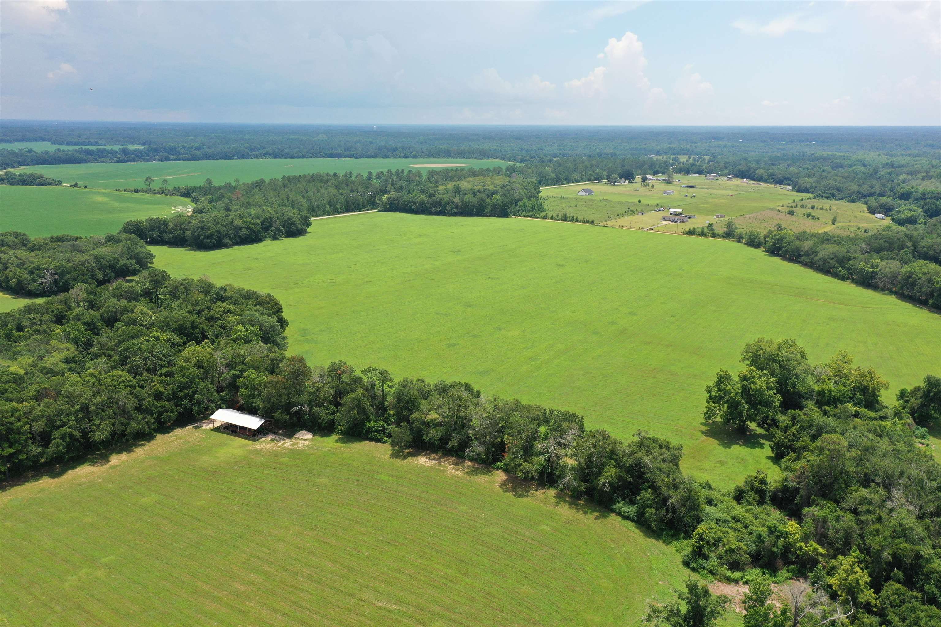 Xx Xx Max Herrin Road Quincy, FL 32352 - Photo 3 of 46