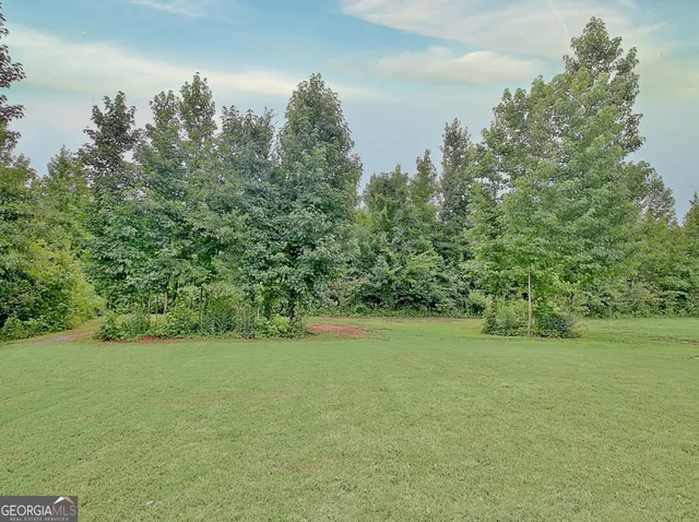 $799,000 | 0 Hwy 362 Street West, Williamson, GA 30292