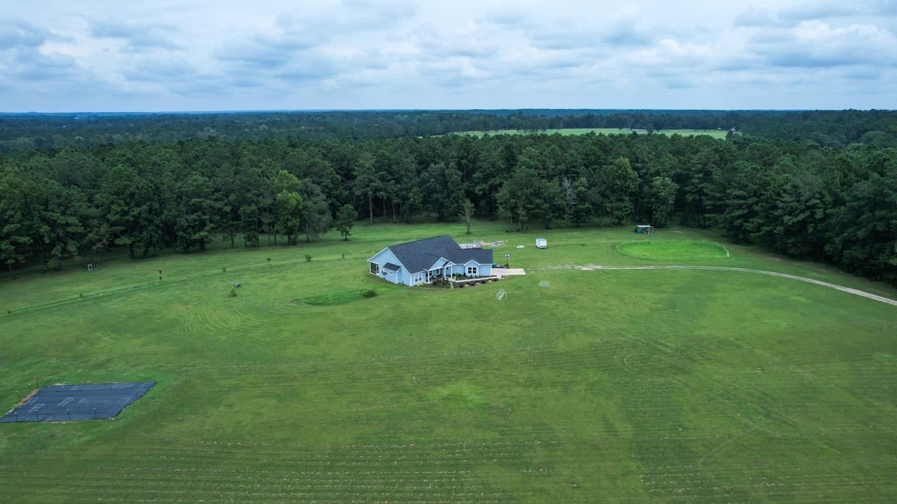 2729 Lanier Road Havana, FL 32333 - Photo 7 of 36 Gallery Image 7