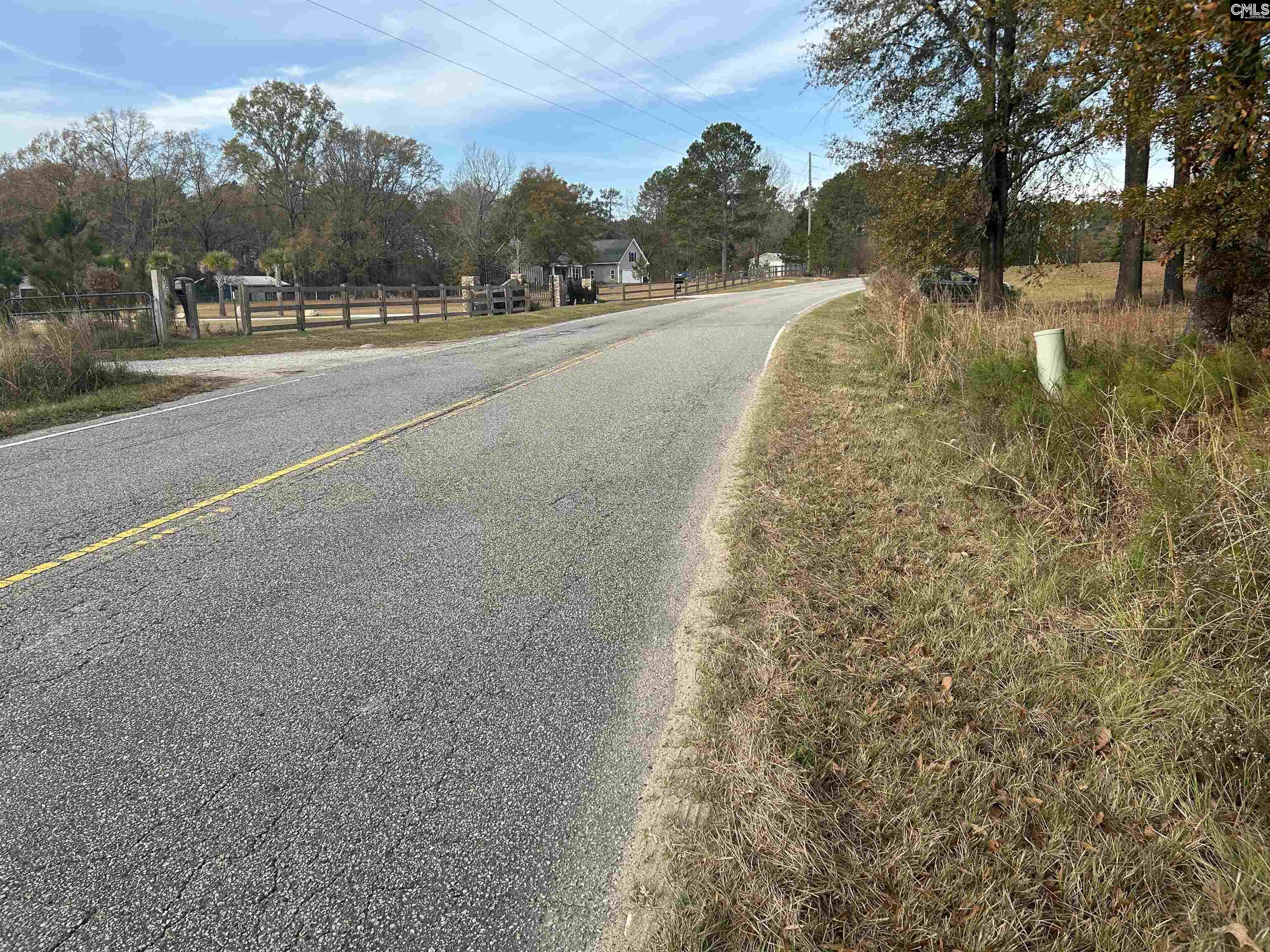 440 Paschal Road Elgin, SC 29045 - Photo 2 of 23