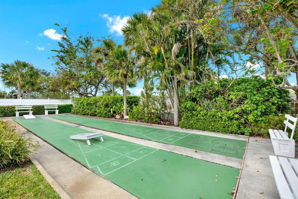 4939 Floramar Terrace, Unit 204 New Port Richey, FL 34652 - Photo 21 of 22 a view of a yard with an outdoor space