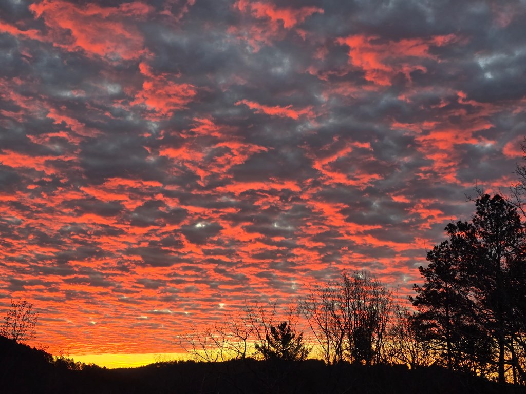 1621 Crystal Lane Northeast Ranger, GA 30734 - Photo 2 of 43