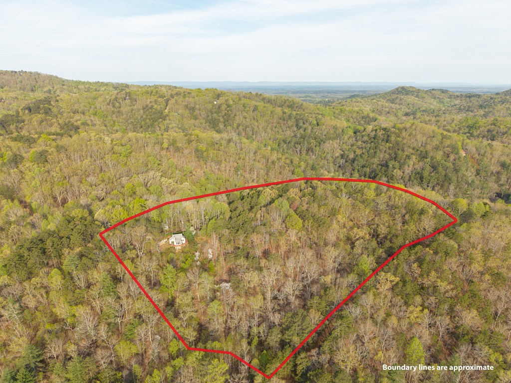 1621 Crystal Lane Northeast Ranger, GA 30734 - Photo 25 of 43