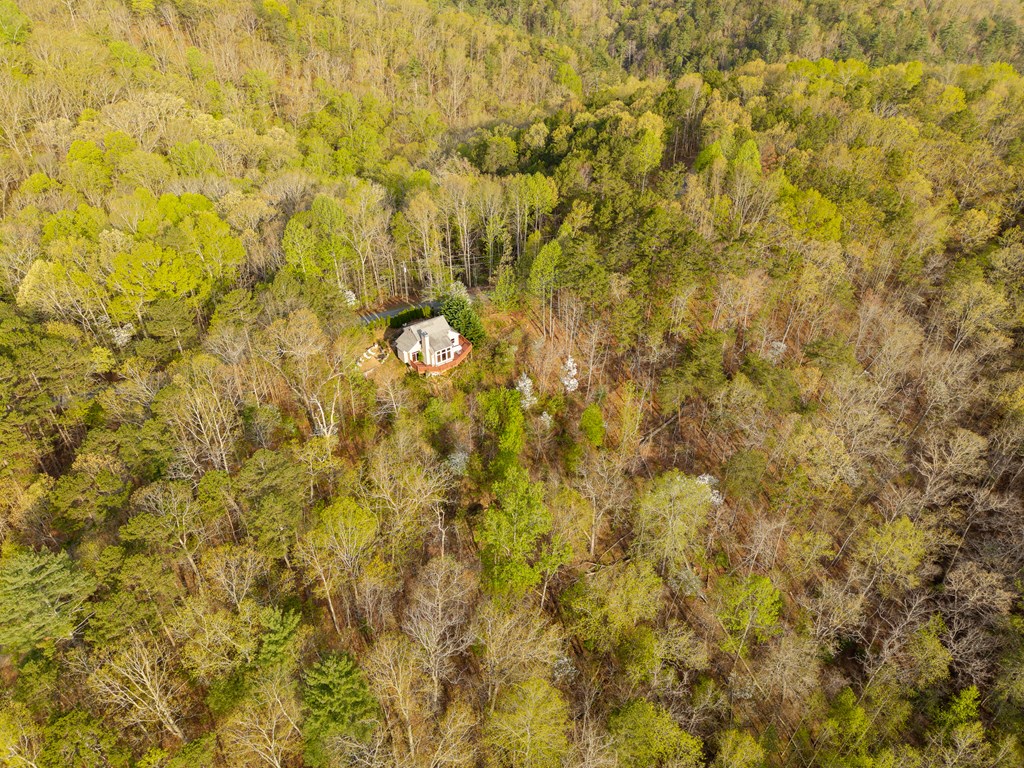 1621 Crystal Lane Northeast Ranger, GA 30734 - Photo 26 of 43