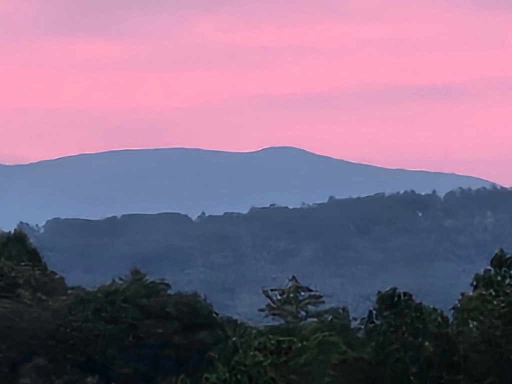 1621 Crystal Lane Northeast Ranger, GA 30734 - Photo 29 of 43