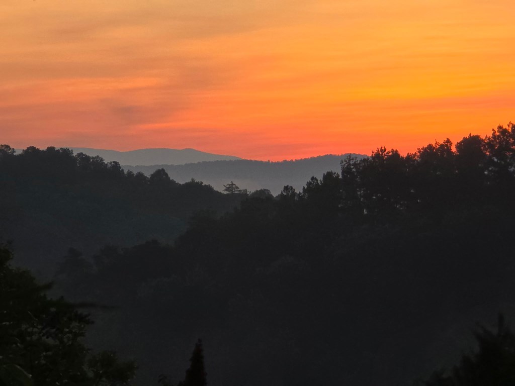 1621 Crystal Lane Northeast Ranger, GA 30734 - Photo 30 of 43