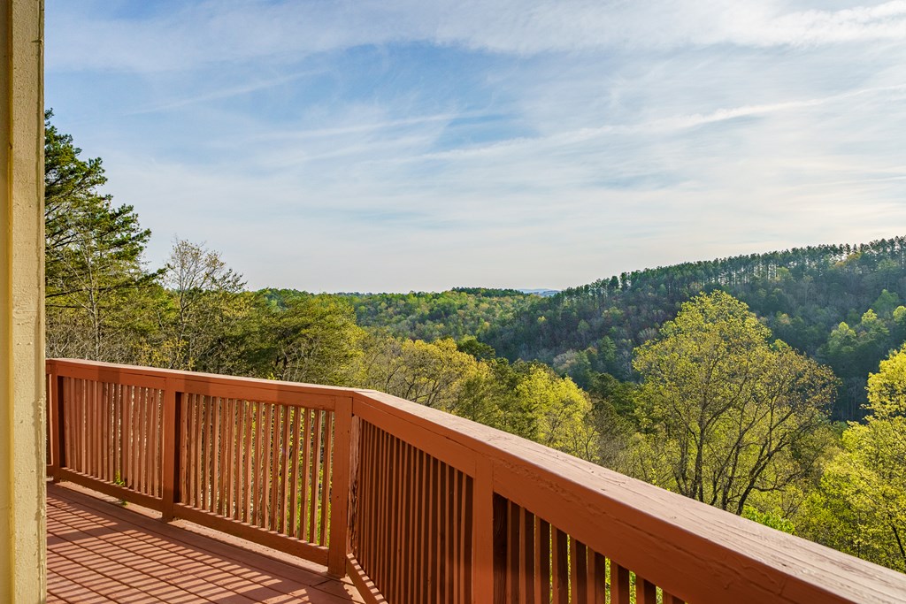 1621 Crystal Lane Northeast Ranger, GA 30734 - Photo 3 of 43