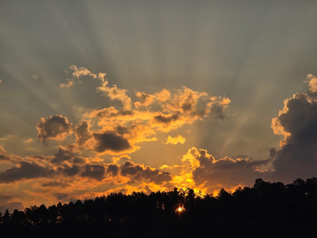 1621 Crystal Lane Northeast Ranger, GA 30734 - Photo 31 of 43