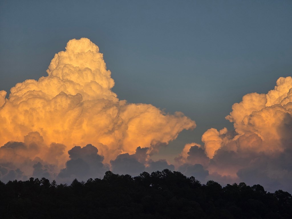 1621 Crystal Lane Northeast Ranger, GA 30734 - Photo 32 of 43