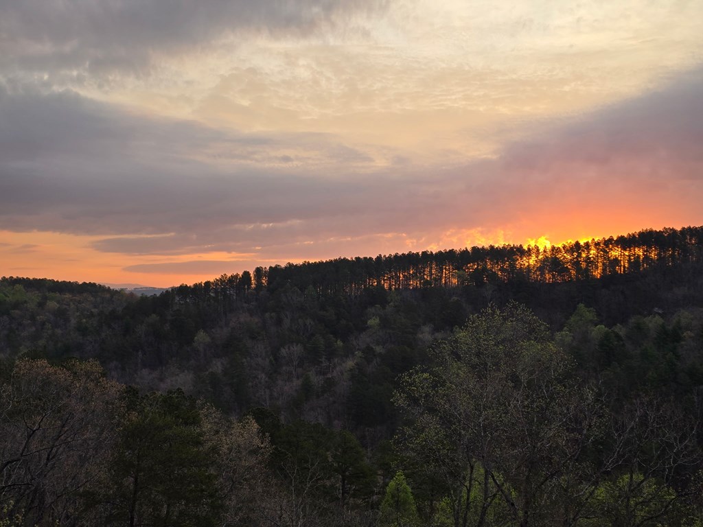 1621 Crystal Lane Northeast Ranger, GA 30734 - Photo 33 of 43