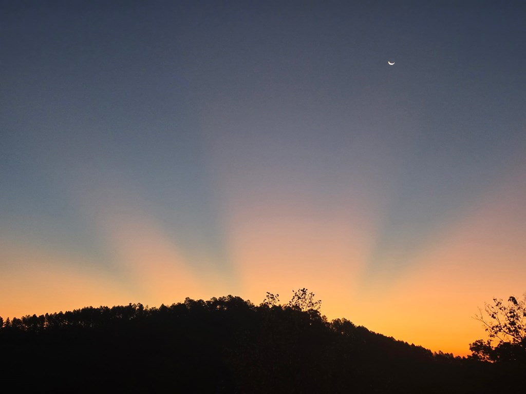 1621 Crystal Lane Northeast Ranger, GA 30734 - Photo 35 of 43