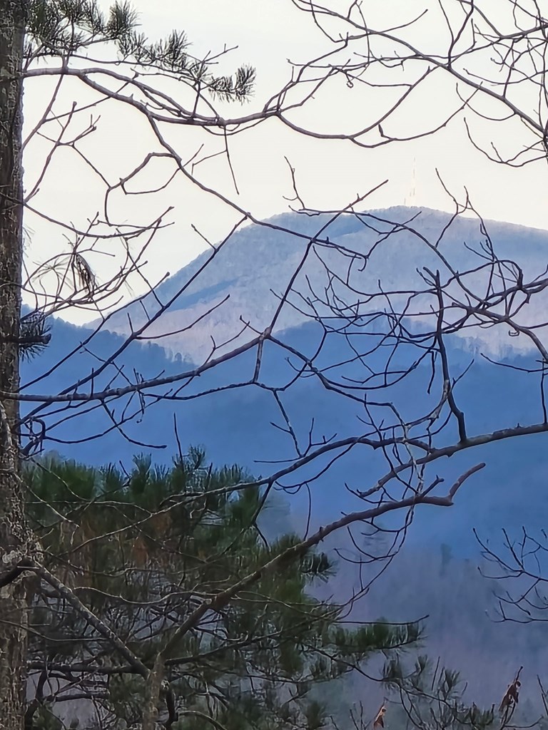 1621 Crystal Lane Northeast Ranger, GA 30734 - Photo 36 of 43