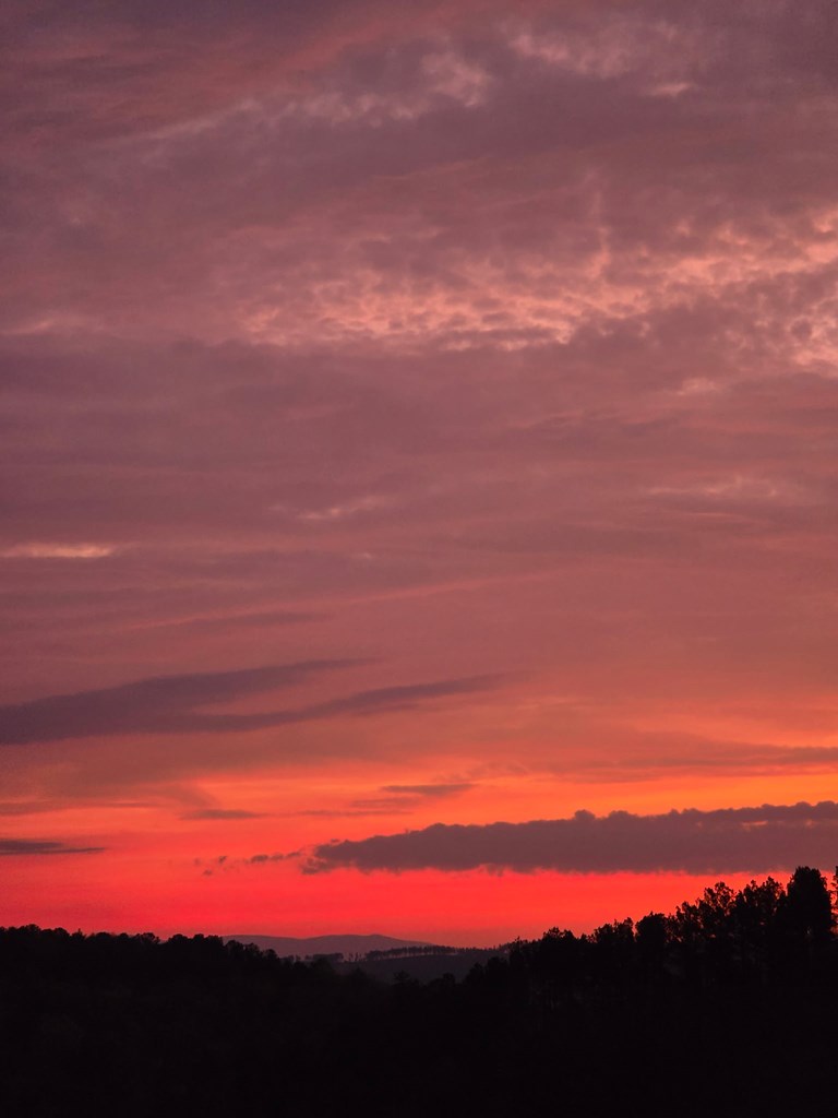 1621 Crystal Lane Northeast Ranger, GA 30734 - Photo 38 of 43