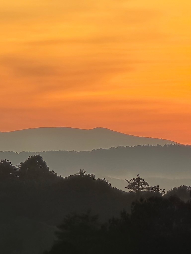 1621 Crystal Lane Northeast Ranger, GA 30734 - Photo 39 of 43