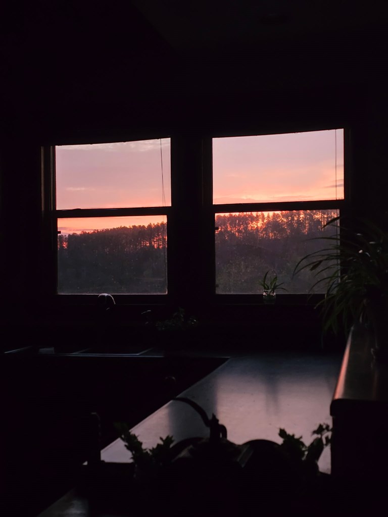 1621 Crystal Lane Northeast Ranger, GA 30734 - Photo 40 of 43