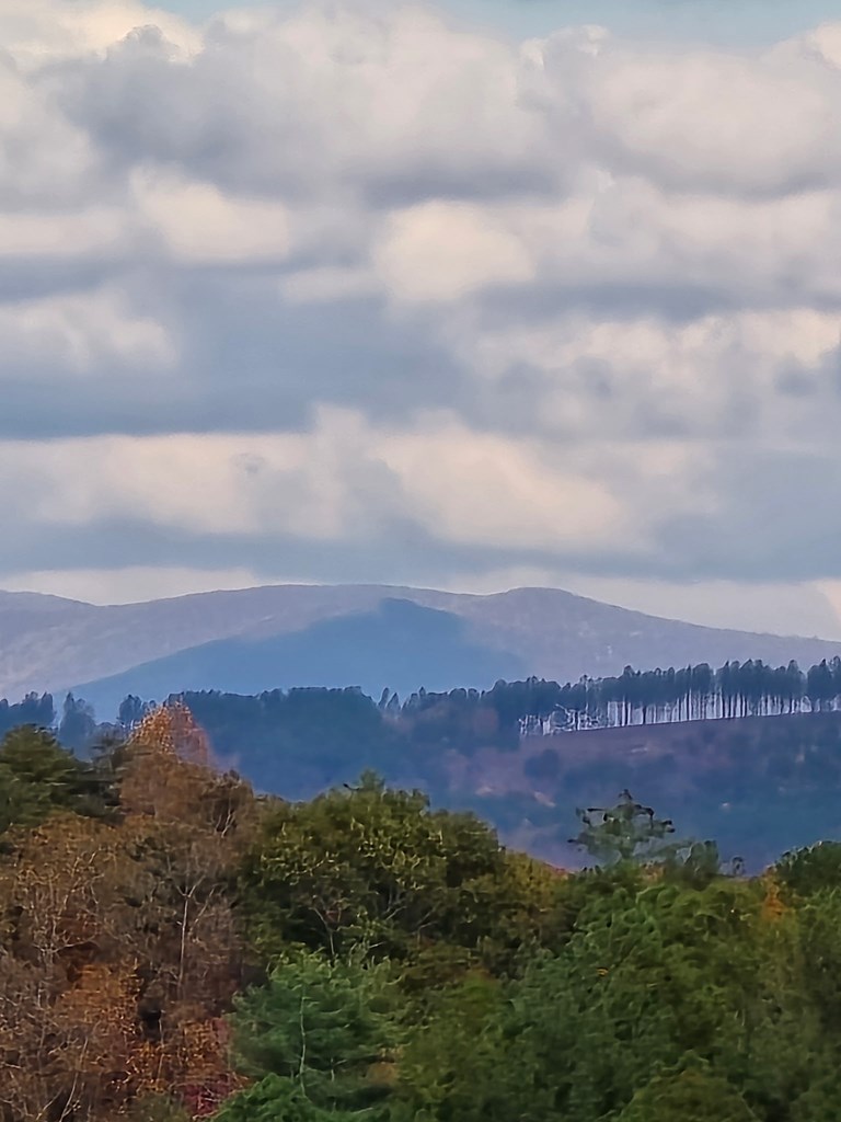 1621 Crystal Lane Northeast Ranger, GA 30734 - Photo 42 of 43