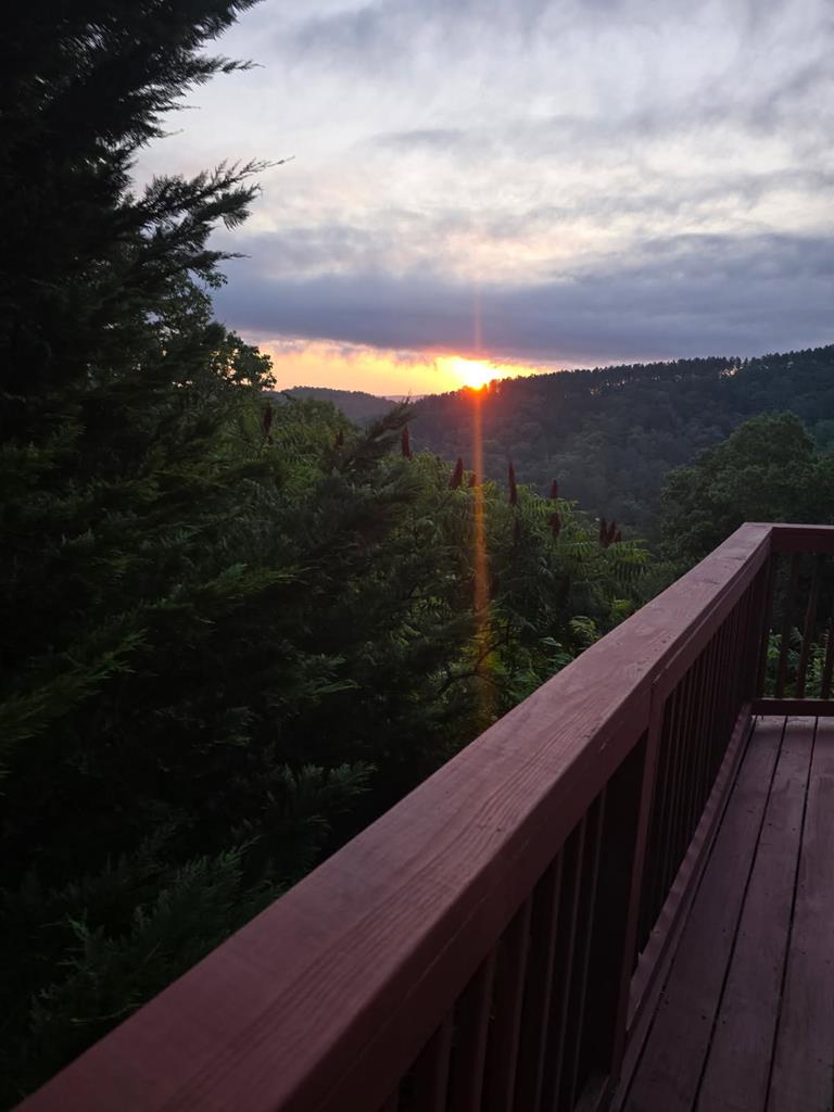 1621 Crystal Lane Northeast Ranger, GA 30734 - Photo 43 of 43