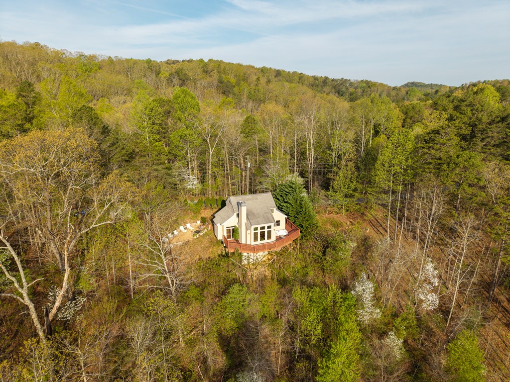 1621 Crystal Lane Northeast Ranger, GA 30734 - Photo 5 of 43