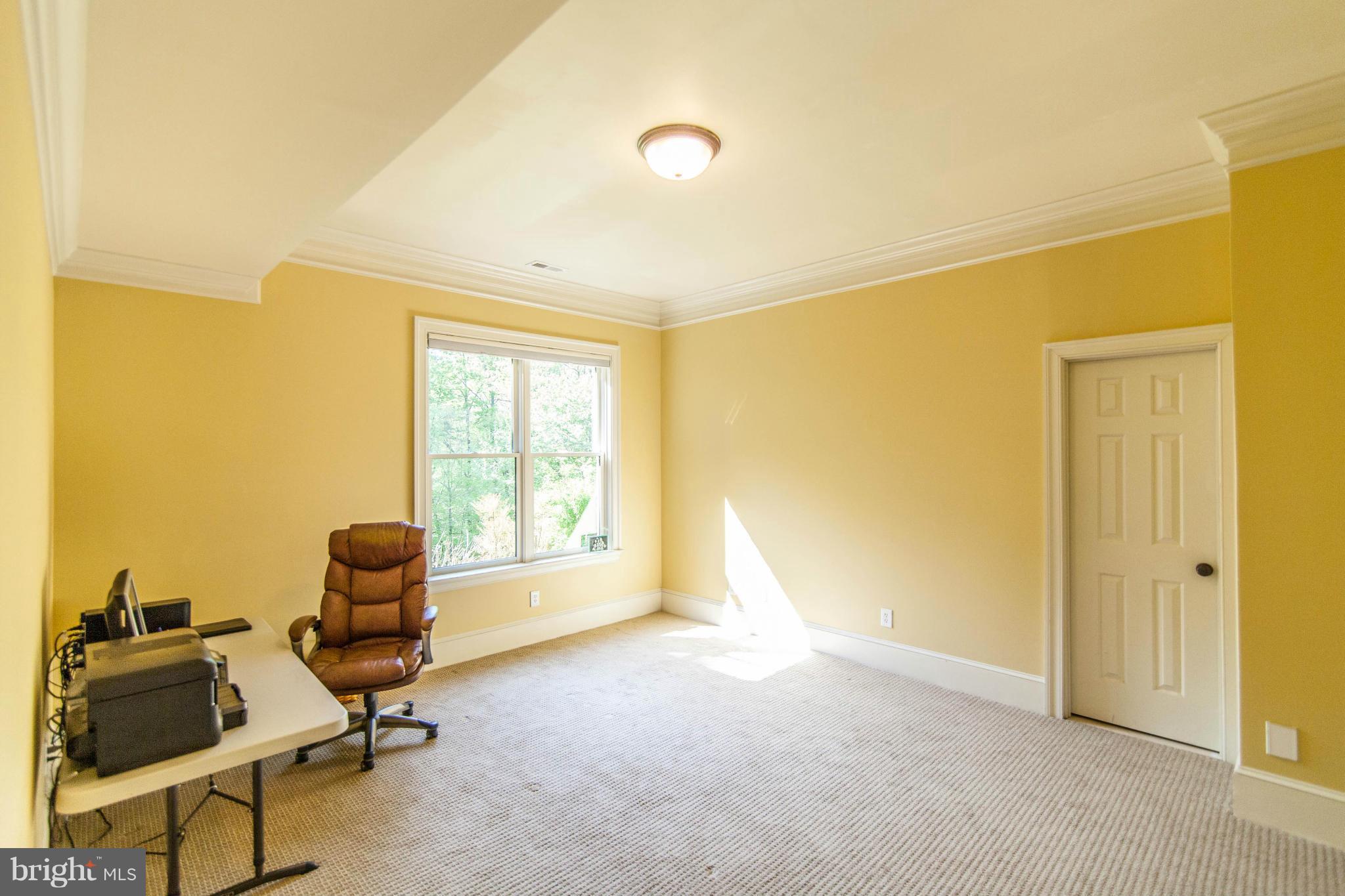 13448 Loyalty Road Leesburg, VA 20176 - Photo 28 of 30 Lower level Bedroom 4