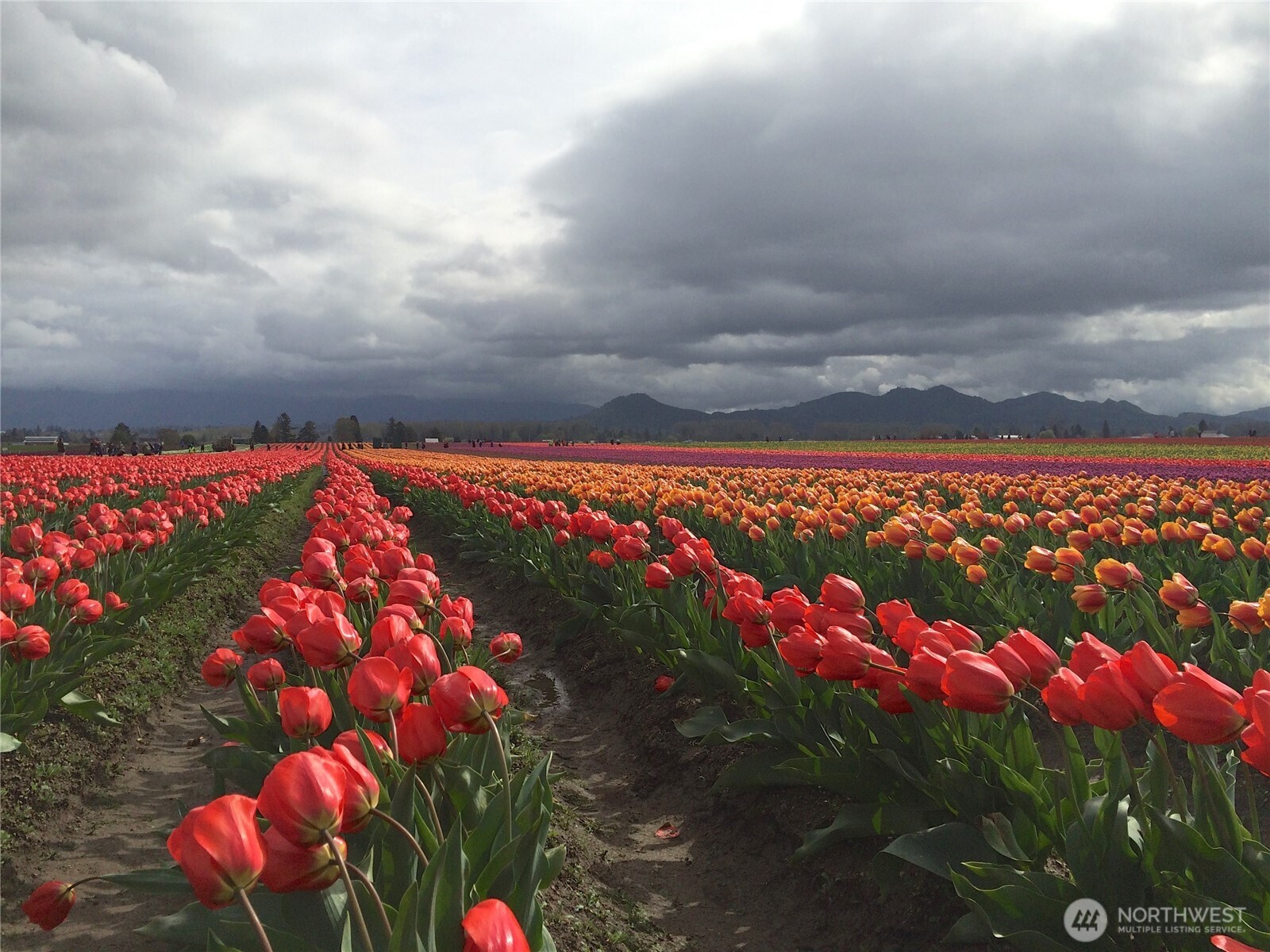 4869 Mercer Road Bow, WA 98232 - Photo 33 of 34