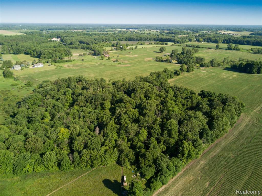 0 North Gregory Road Fowlerville, MI 48836 - Photo 30 of 49