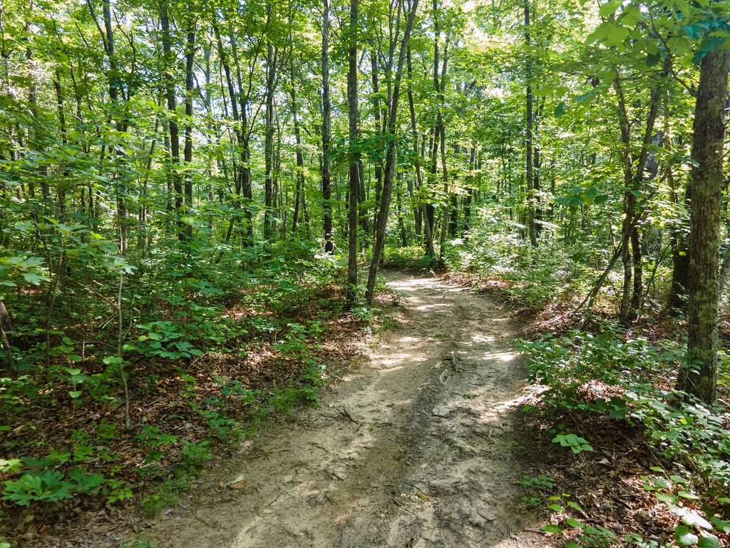 0 Valley View Drive Altamont, TN 37301 - Photo 13 of 23