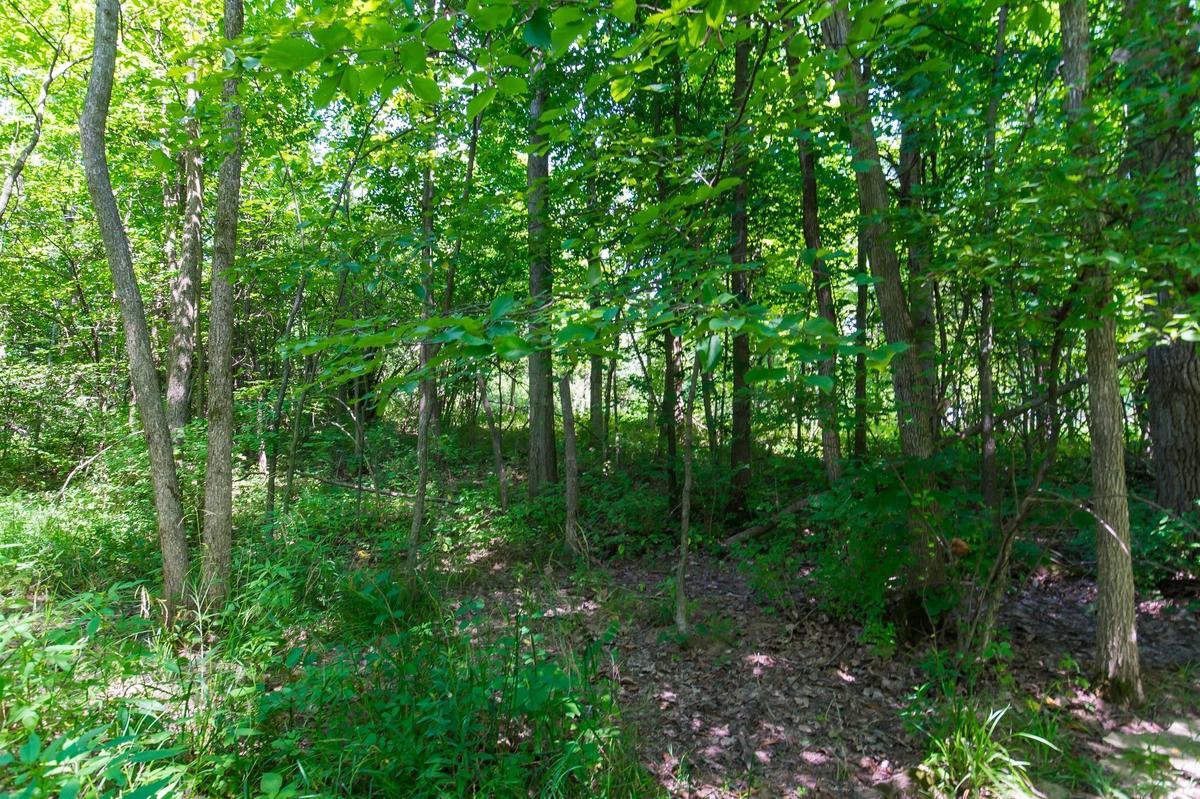4738 Rutherford Road Powell, OH 43065 - Photo 5 of 11 Gallery Image 5