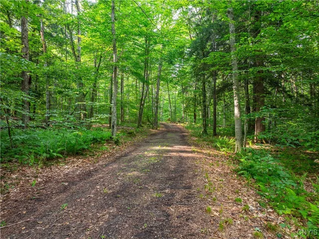 $250,000 | 51 Donovan Road, Salisbury, NY 13454