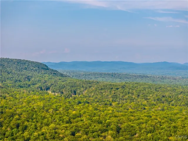 $250,000 | 51 Donovan Road, Salisbury, NY 13454