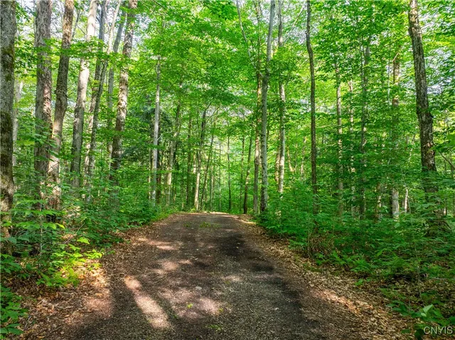 $250,000 | 51 Donovan Road, Salisbury, NY 13454