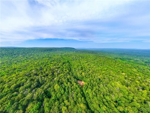 $250,000 | 51 Donovan Road, Salisbury, NY 13454