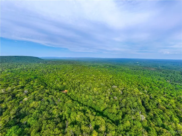 $250,000 | 51 Donovan Road, Salisbury, NY 13454