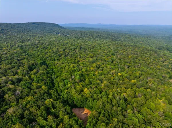 $250,000 | 51 Donovan Road, Salisbury, NY 13454