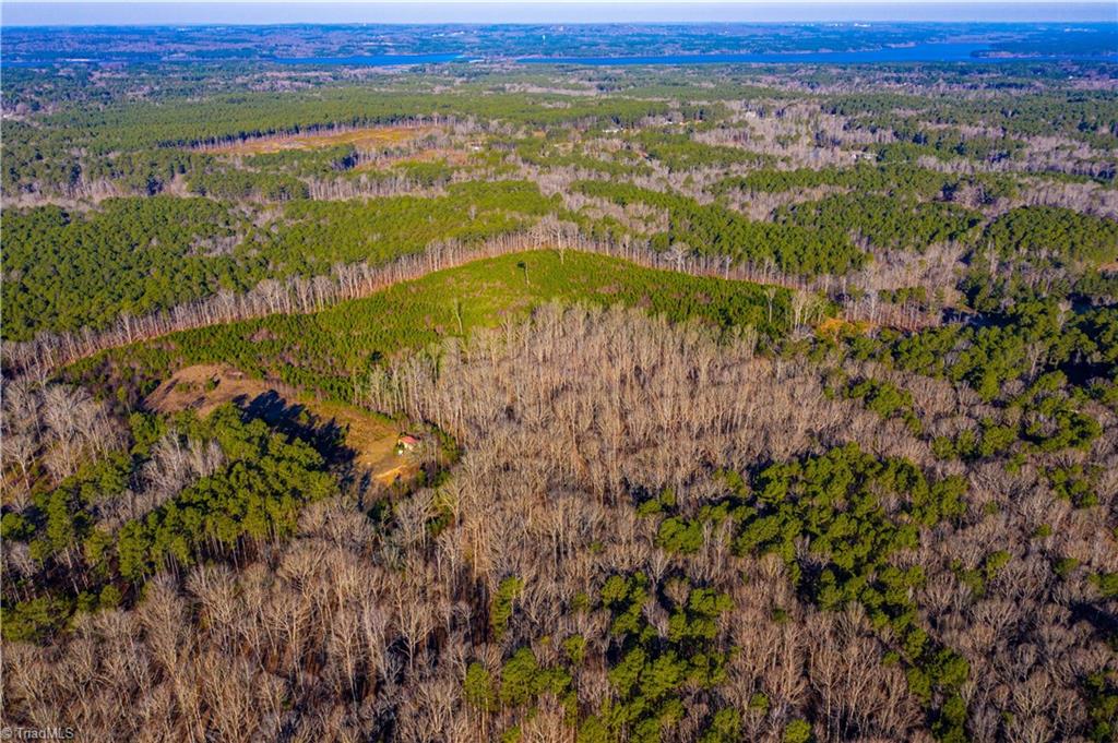 0 Hortons Pond Road Apex, NC 27523 - Photo 12 of 23 Gallery Image 12